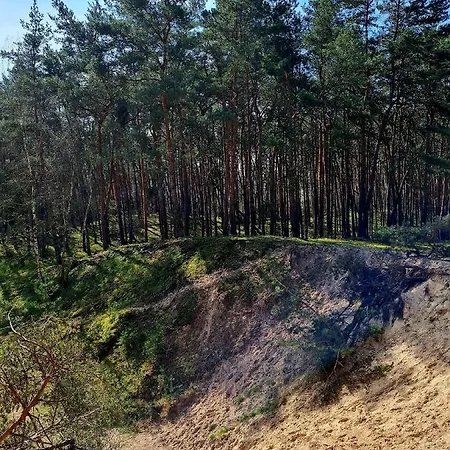 Gruener Kontaktloser Checkin בית נופש *