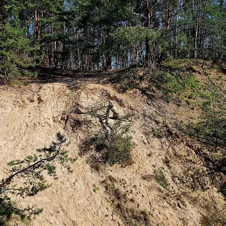 Gruener Kontaktloser Checkin * Stendell