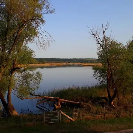 Gruener Kontaktloser Checkin