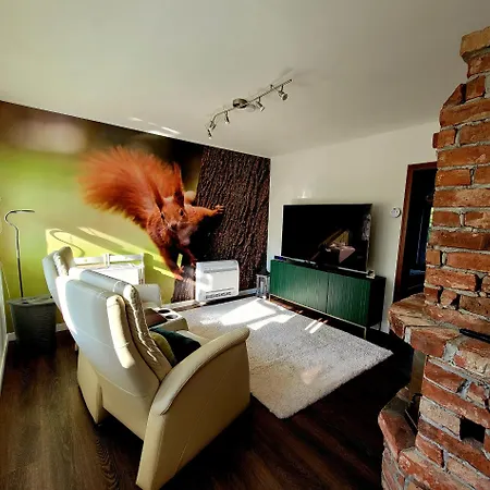 Gruener Kontaktloser Checkin * Stendell