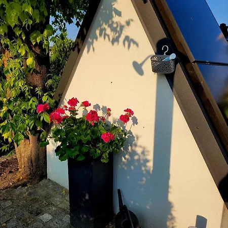 - Grüner Kontaktlos Checkin -out Ferienhaus *