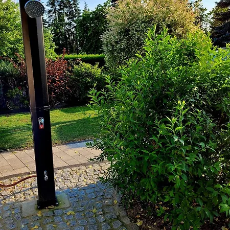 Gruener Kontaktloser Checkin *