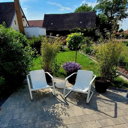 Gruener Kontaktloser Checkin *