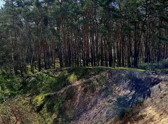 Grüner Kontaktloser Checkin Ferienhaus *