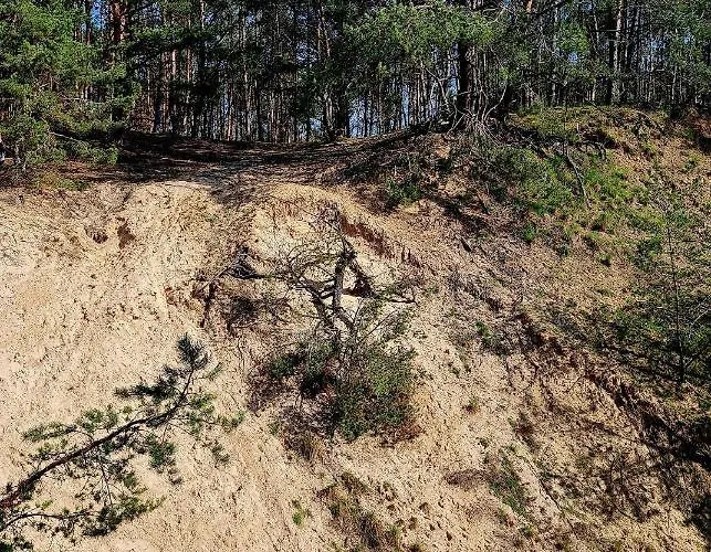 Grüner Kontaktloser Checkin * Stendell