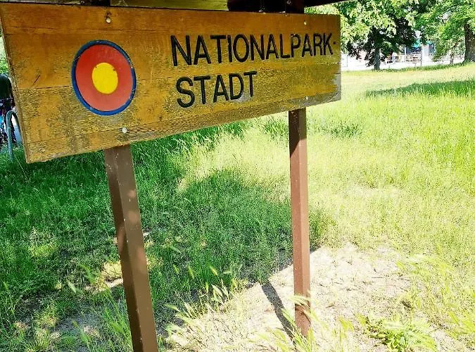 Grüner Kontaktloser Checkin Ferienhaus