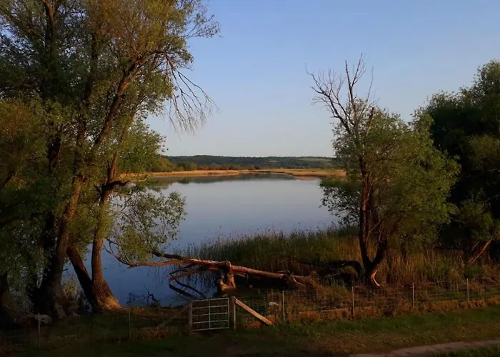 Grüner Kontaktloser Checkin