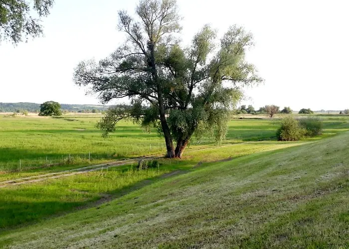 Grüner Kontaktloser Checkin Ferienhaus Stendell