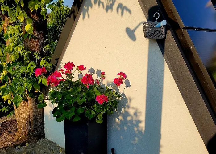 Grüner Kontaktloser Checkin Ferienhaus *