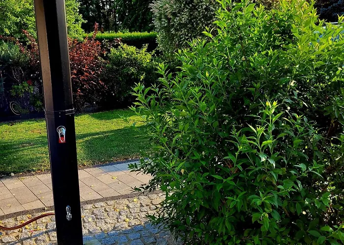 Grüner Kontaktloser Checkin *