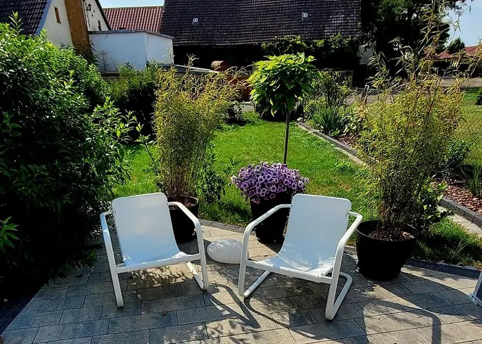 Grüner Kontaktloser Checkin *