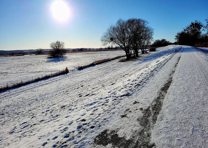 Grüner Kontaktloser Checkin Ferienhaus Stendell